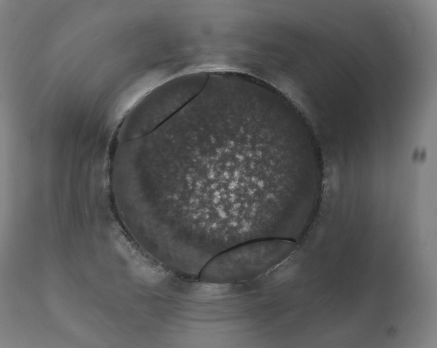 X0000112521173200908241437