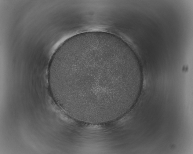 X0000112521174200908241437