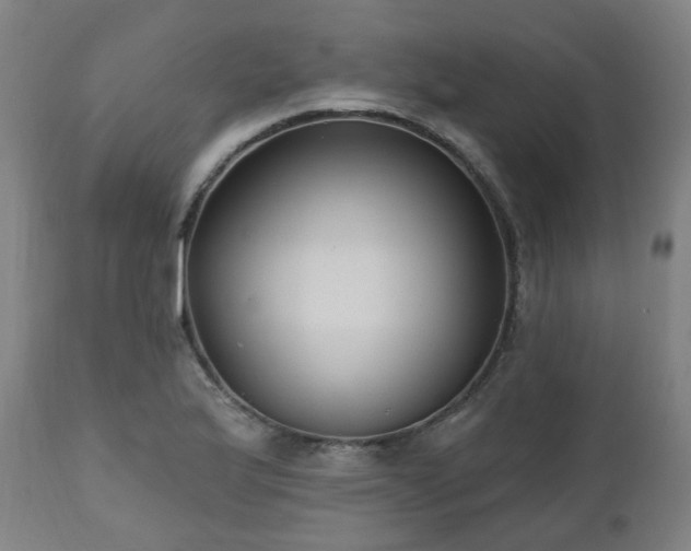 X0000112521175200908241437