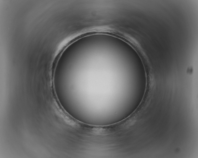 X0000112521176200908241437