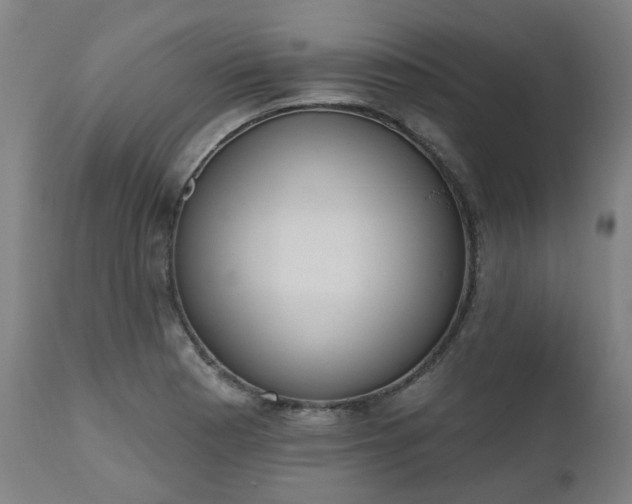 X0000112521177200908241437