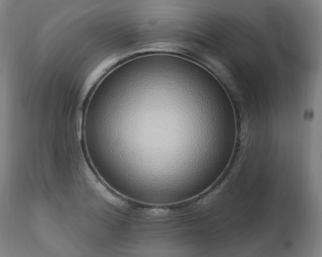 X0000112521180200908241437
