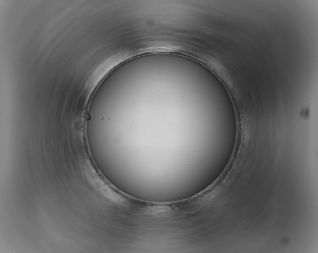 X0000112521186200908241437