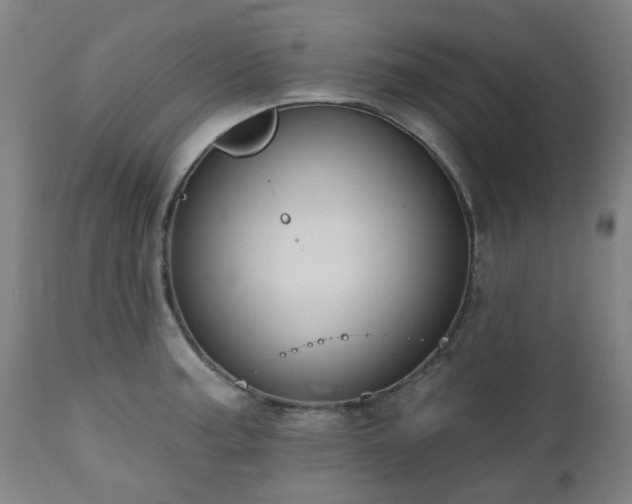 X0000112521187200908241437