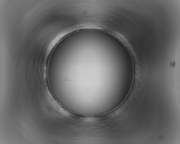 X0000112521188200908241437