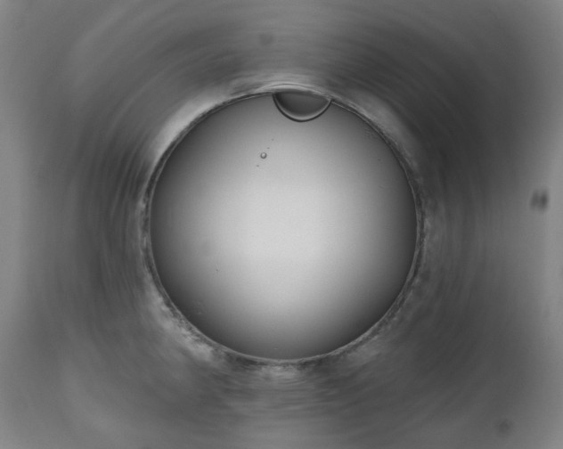 X0000112521190200908241437