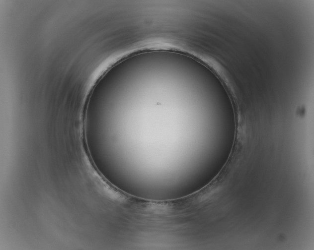X0000112521191200908241437