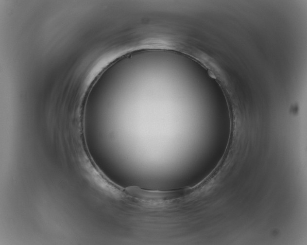 X0000112521192200908241437