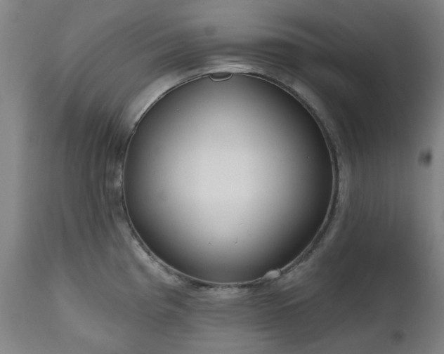 X0000112521193200908241437
