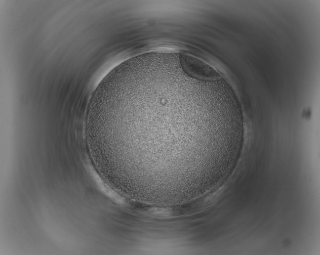 X0000112521194200908241437