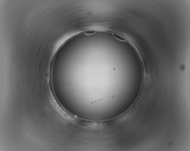 X0000112521195200908241437