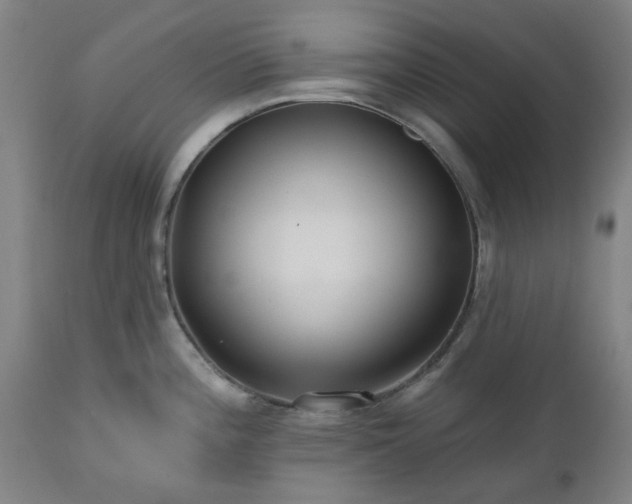 X0000112521196200908241437