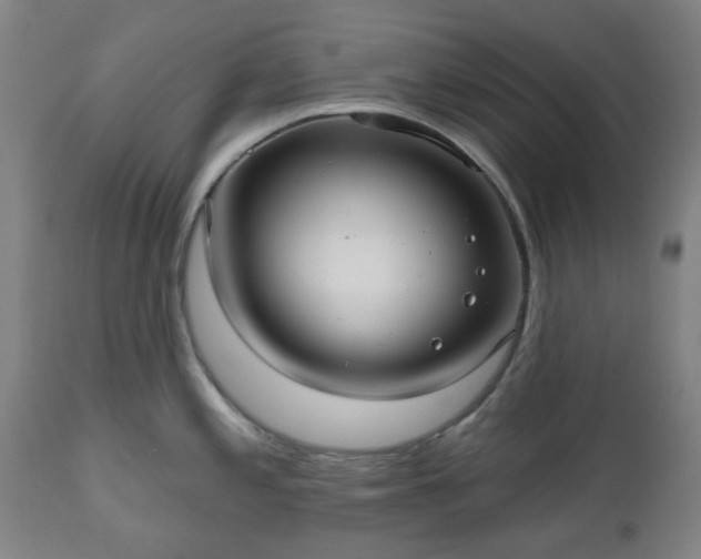 X0000112521197200908241437