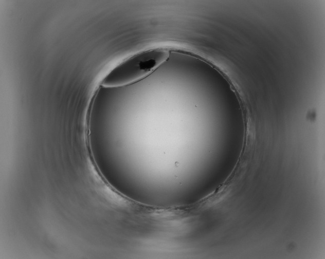 X0000112521199200908241437