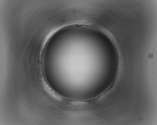 X0000112521200200908241437