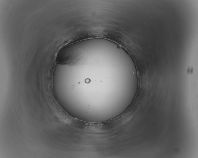 X0000112521201200908241436