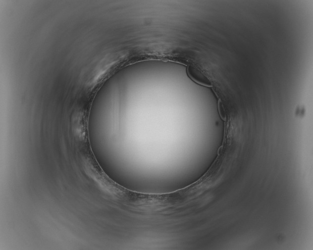 X0000112521202200908241436