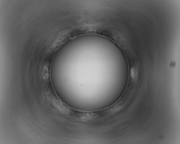 X0000112521203200908241436