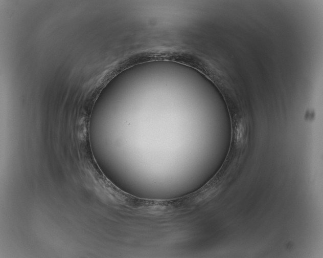 X0000112521204200908241436