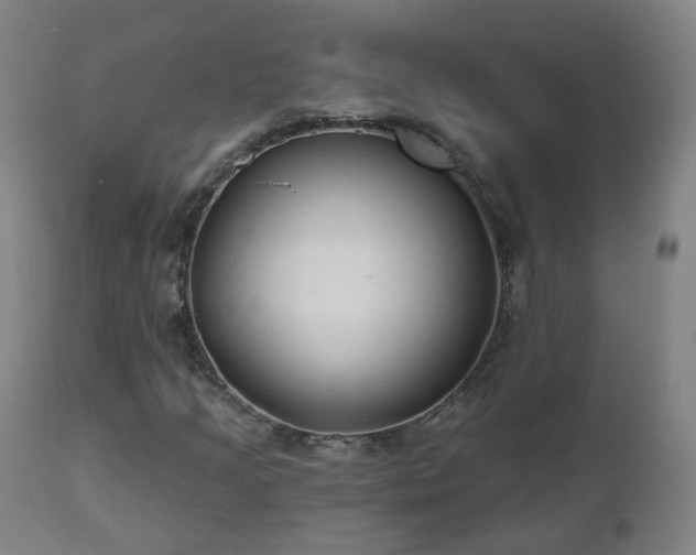 X0000112521205200908241436