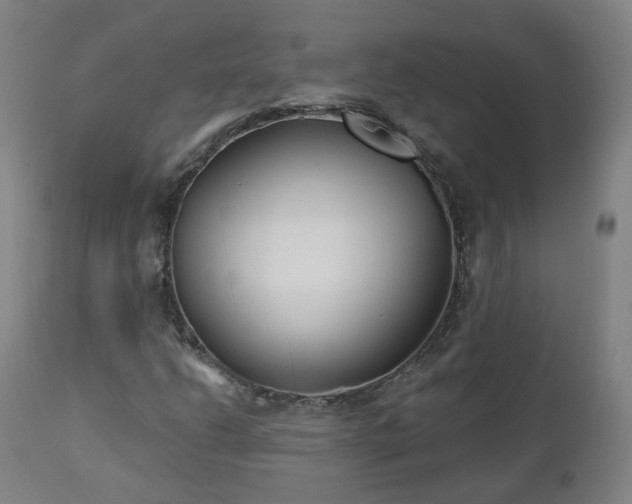X0000112521206200908241436