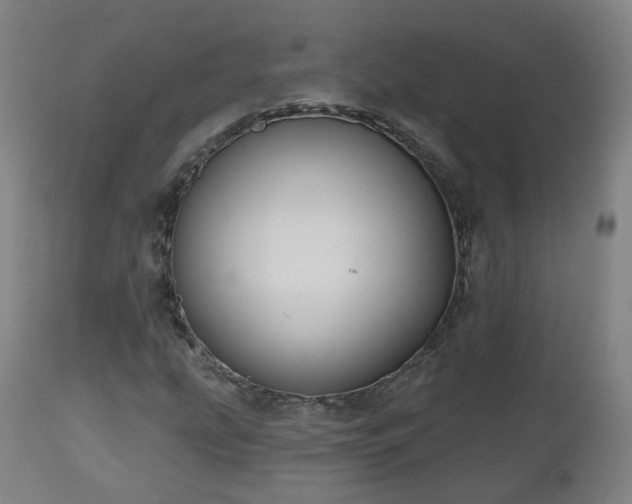 X0000112521207200908241436