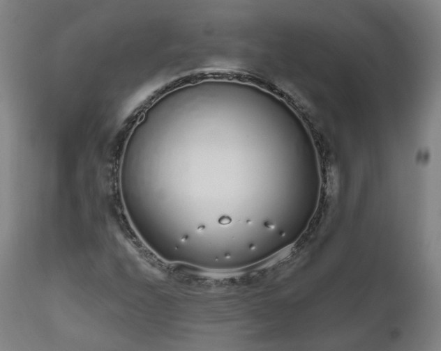 X0000112521208200908241436
