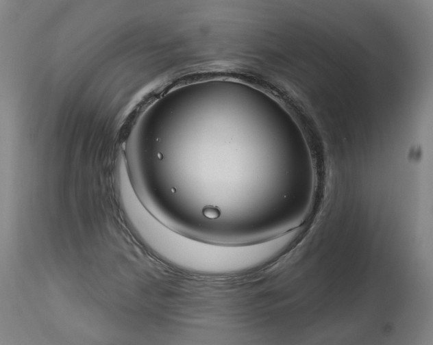 X0000112521210200908241436