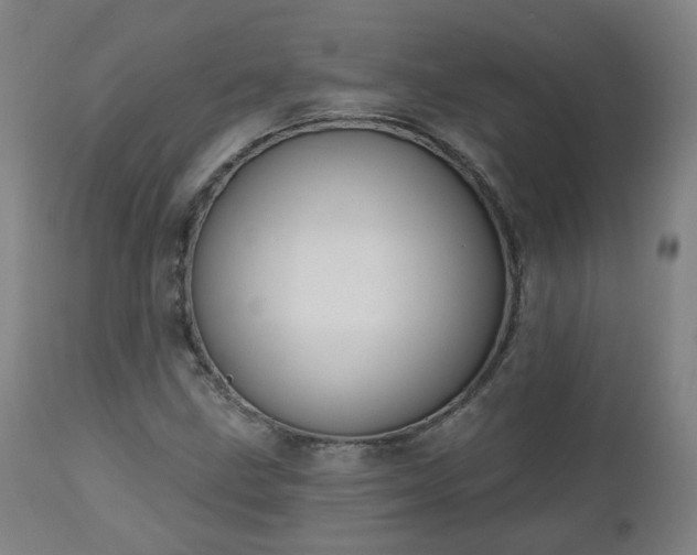 X0000112521211200908241436