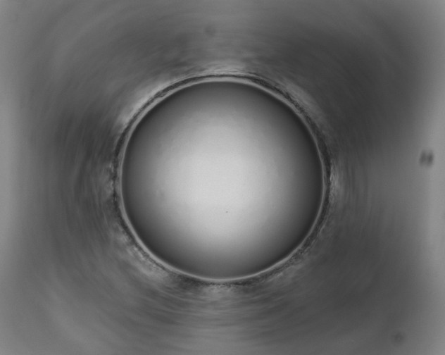 X0000112521212200908241436