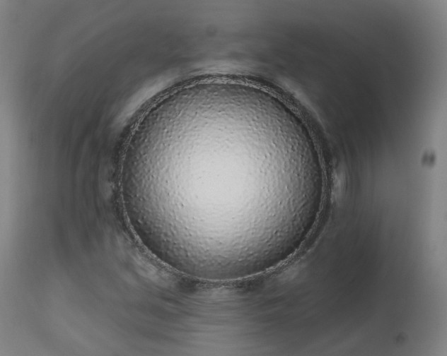 X0000112521213200908241436
