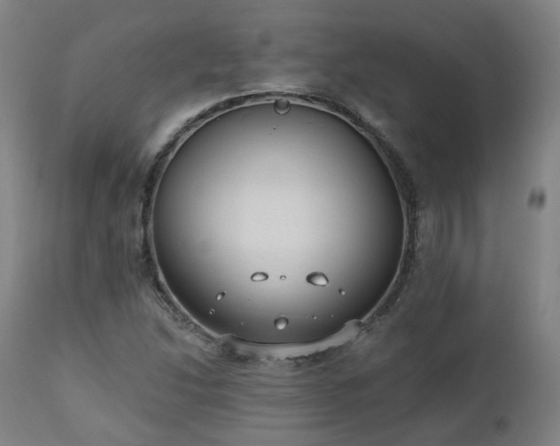X0000112521214200908241436