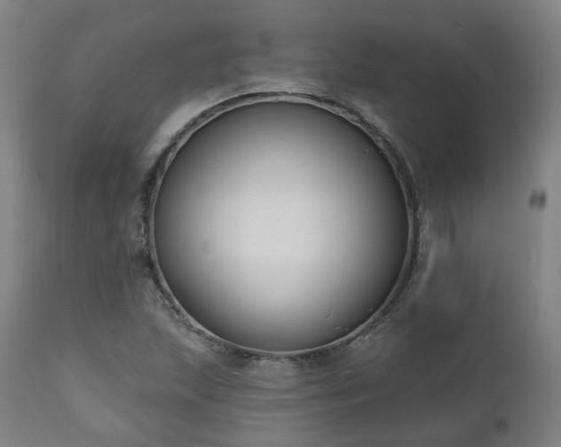 X0000112521215200908241436