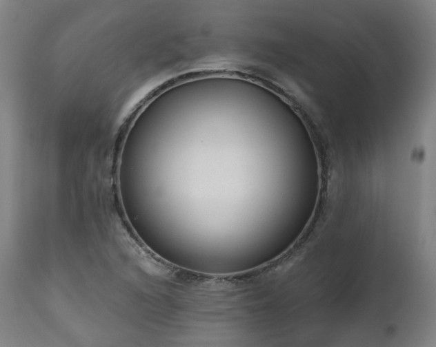 X0000112521216200908241436