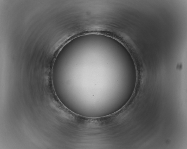 X0000112521217200908241436