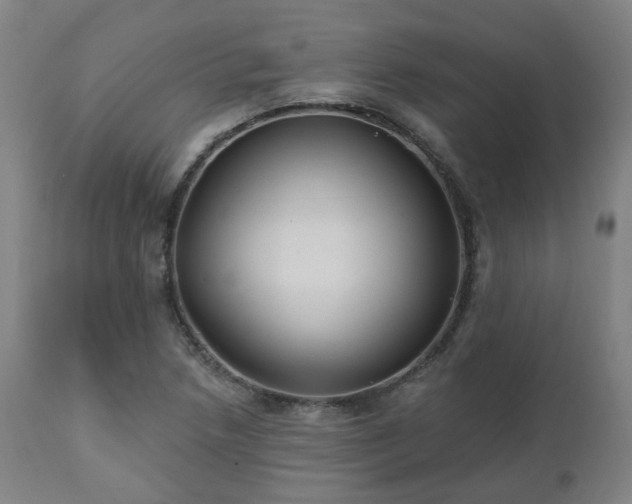 X0000112521218200908241436