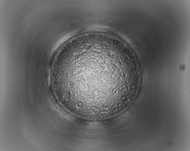 X0000112521219200908241436