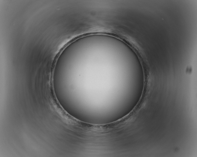 X0000112521220200908241436