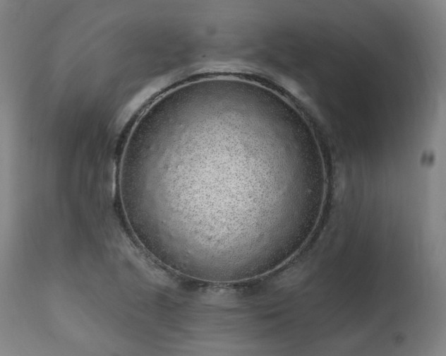 X0000112521221200908241436