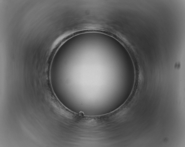 X0000112521222200908241436