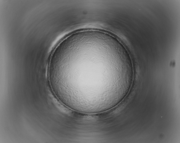 X0000112521224200908241436