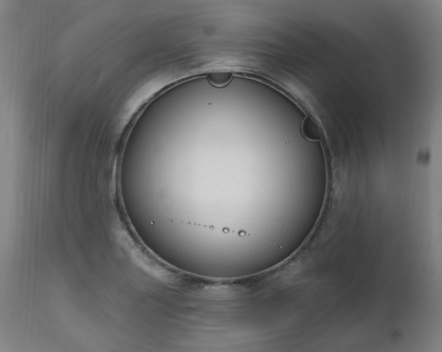 X0000112521227200908241436