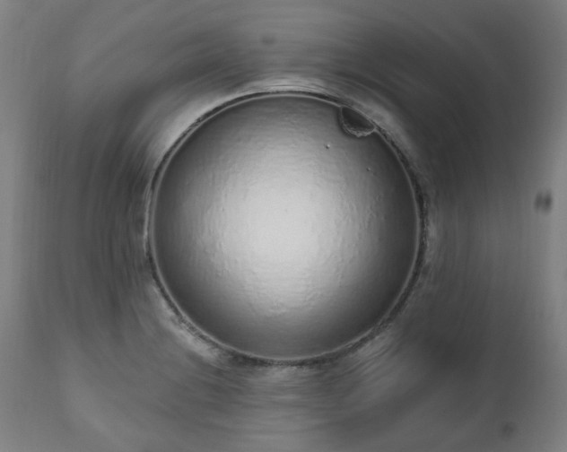 X0000112521228200908241436