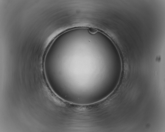 X0000112521230200908241436