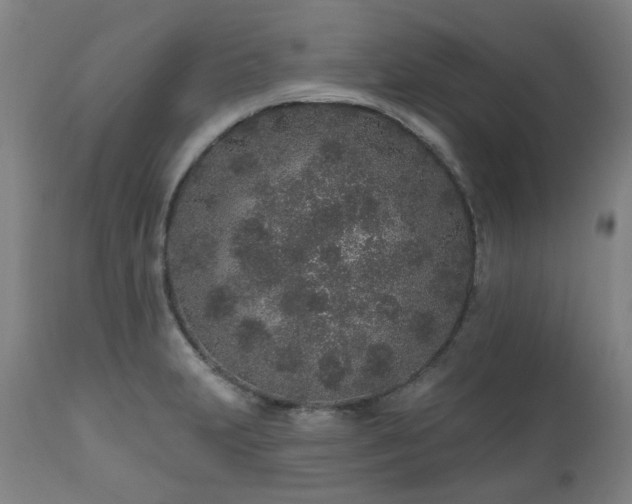 X0000112521231200908241436