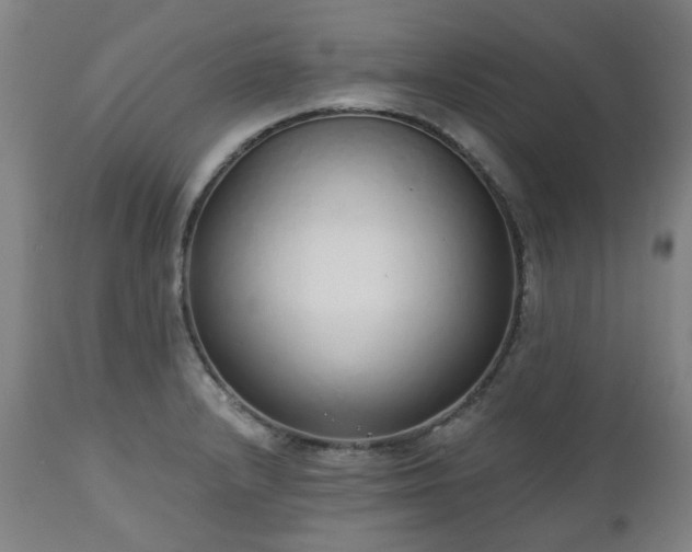 X0000112521232200908241436