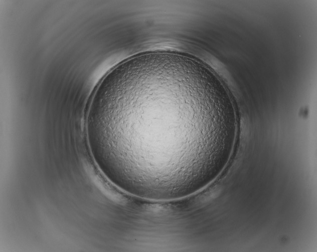 X0000112521234200908241437
