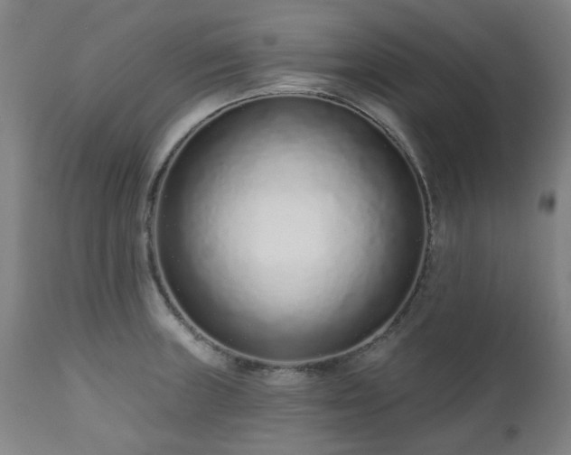 X0000112521235200908241437