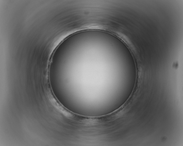 X0000112521236200908241437