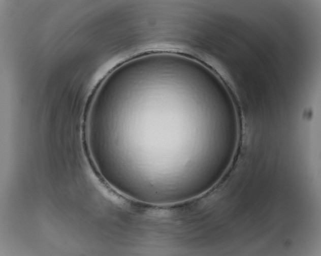 X0000112521237200908241437